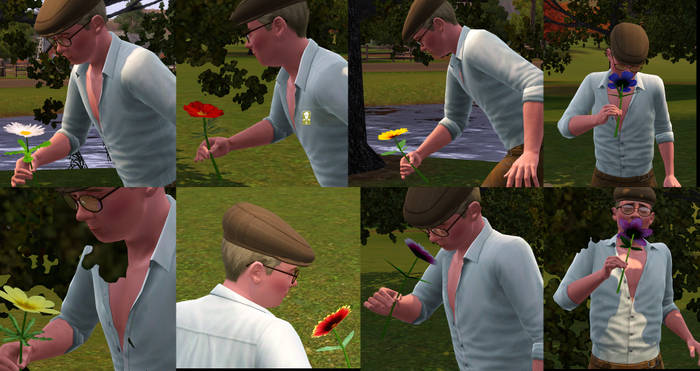 srgh0.jpg