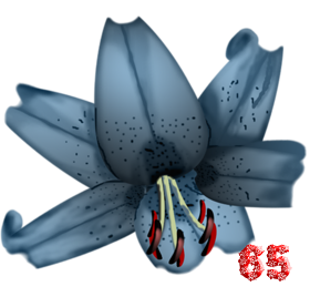 0_fb3af_5fa69ed4_M.png