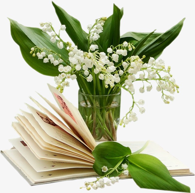 pngtree-home-bouquet-png-clipart_792240.jpg