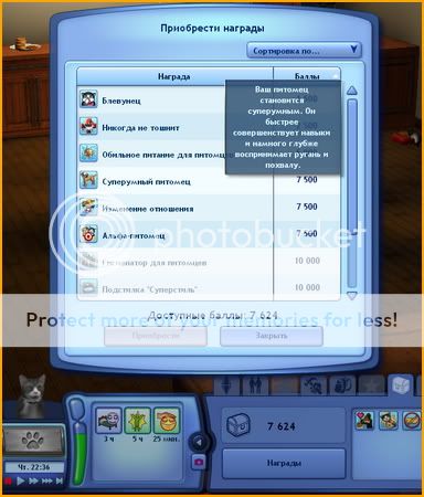 TS3W2011-11-1822-46-41-92.jpg
