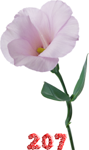0_fb43d_88af1a26_M.png