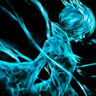 2ba99c78defb1957e72876f67a66dd28.gif