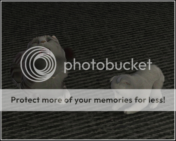 Screenshot-168.png