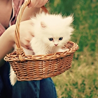 49db02f53fdbca2c90d521abe3d9a70a.jpg