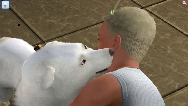 TS3_W_2018_01_03_13_56_14_65.jpg