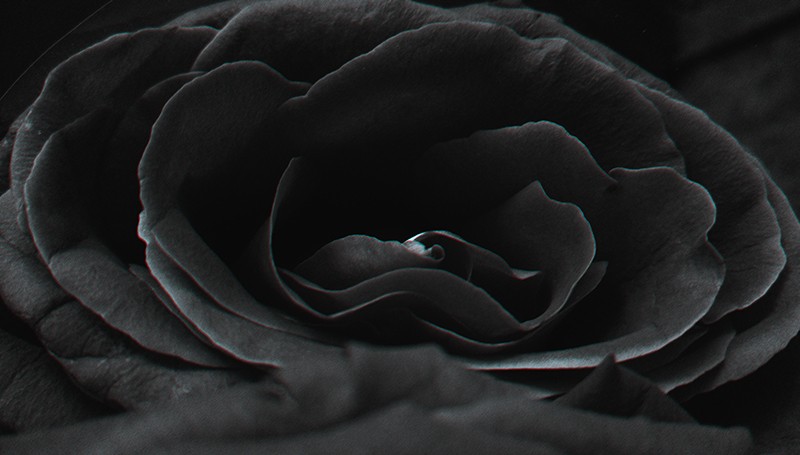 IMAG57862.jpg