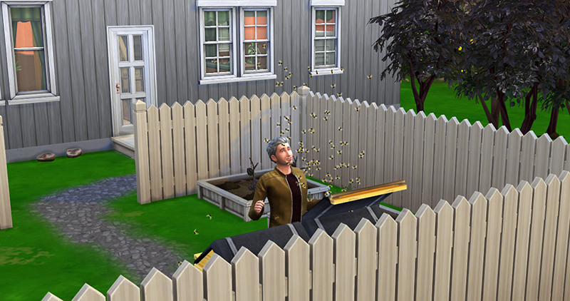 bdjsFf6.png