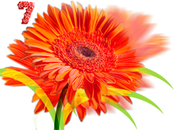 0_fb375_1b448d93_M.png