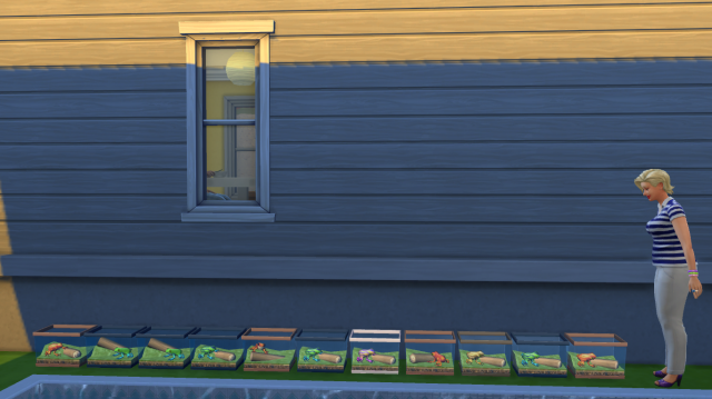 0dcb4cb511a6004c4d610d75ecf2ae90.png
