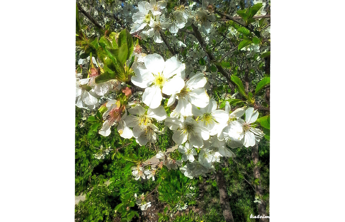 0_145418_bfd5de7f_orig
