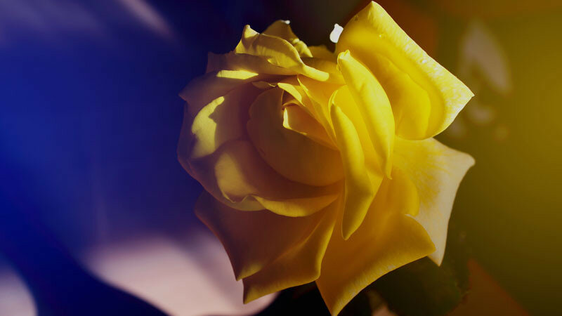 0_1662d9_a353128d_XL.jpg