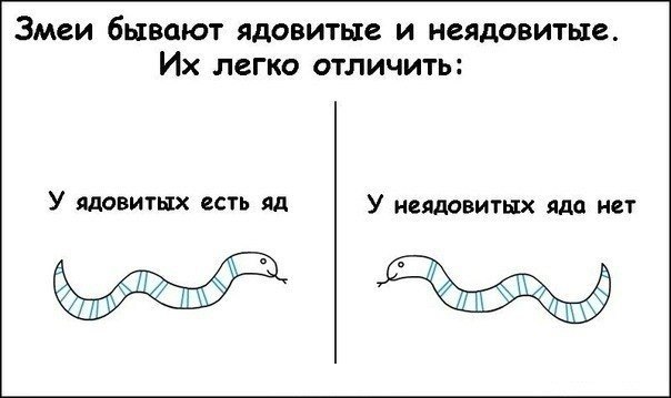 x_2f634422.jpg