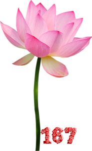 0_fb415_759fb1da_M.png