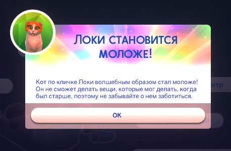 rg2lICD.jpg