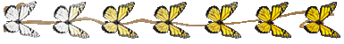 158fd952eb374d22223b2bfcac7a9f34.gif