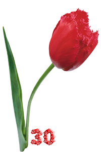 0_fb38c_d32db02f_M.png