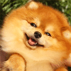 39d1e0ed7671090252a5d04336bd8d9b.gif