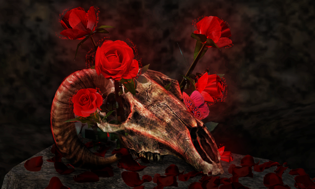 f466b0c725a0329a805189e17a863640.png