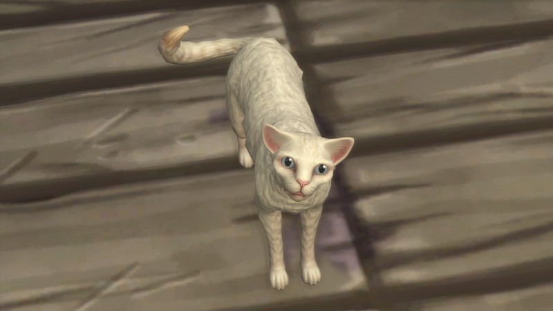 b3f38ea8c1dc0e8d4a4fea626455197a.png