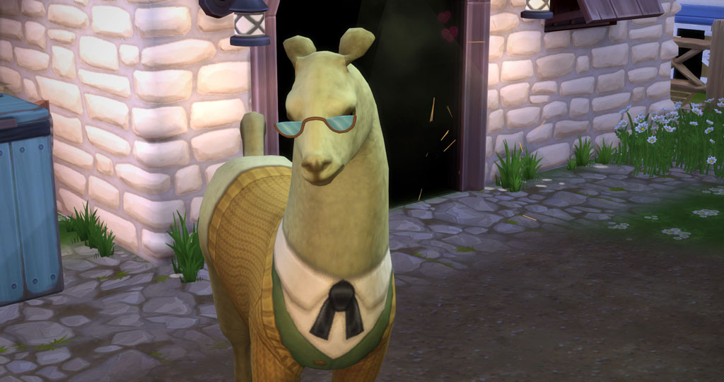 E1JS3ak.jpg