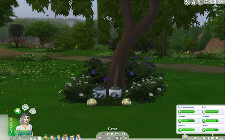 TS4-x64-2020-12-30-21-06-10-78.jpg