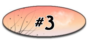 938c7919d994c56b0b3f02e8101caf21.png