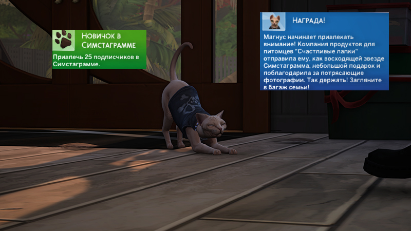 TS4-x64-2021-03-04-22-14-32-60.jpg