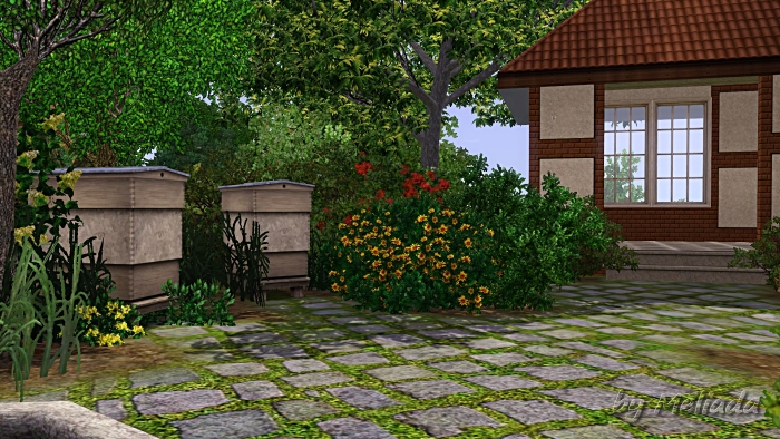 0_c05cf_f3787a71_orig