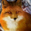 6bfd0fdfbf45b56ec4f9be94f35e80fa.jpg