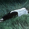VD3mf6l.png