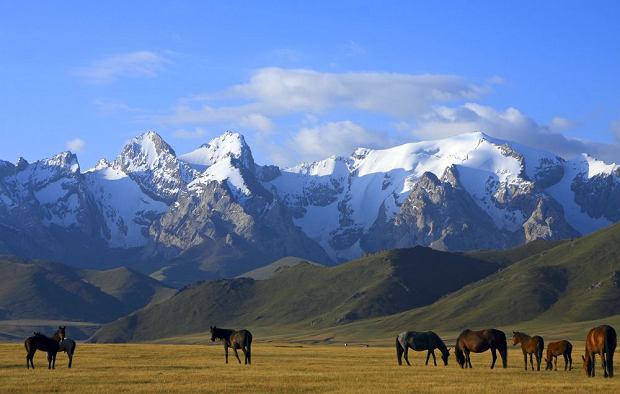 z10602776Q,Azja-Srodkowa-fot--Shutterstock.jpg