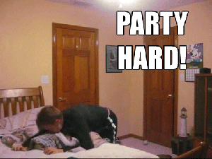 tumblr_m5q9htO3Qo1rpoka3o1_400.gif