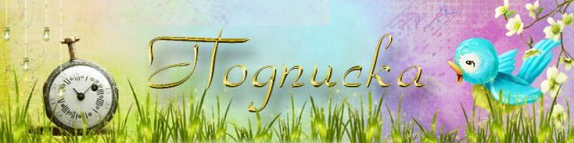 027e32306741ed1b950b2a0299e64bdc.png