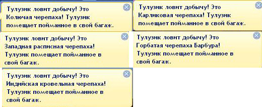 f0c71a5cfeb575cdf14a3c81715a47a9.jpg