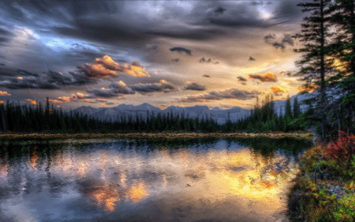 92268a671eb00b900cadbf14c5a5aaaf.gif