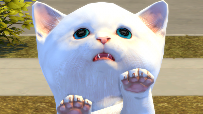 0b9ecd385bf46edebf157f49129d51a3.png