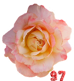 0_fb3cf_f9b51f50_M.png