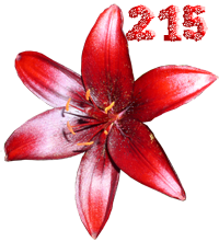 0_fb445_ef894928_M.png