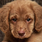 8a86227f68aa5642e8cfc3126b021aa2.png