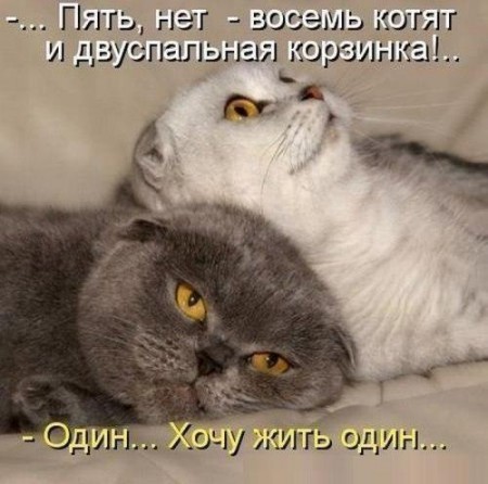 e38b20f00eed801d233a3e5b73c35dfe.jpg