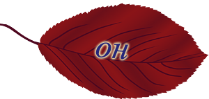 0_153c2e_67be7807_orig.png