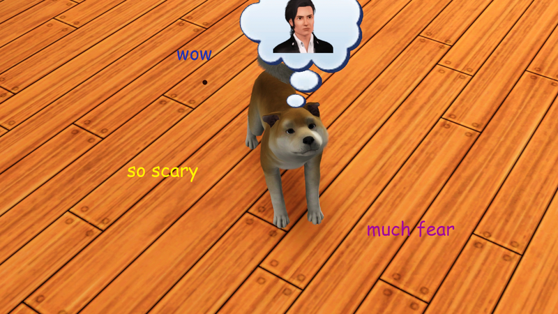 sShQKne.png