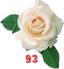 0_fb3cb_fa02de28_M.png