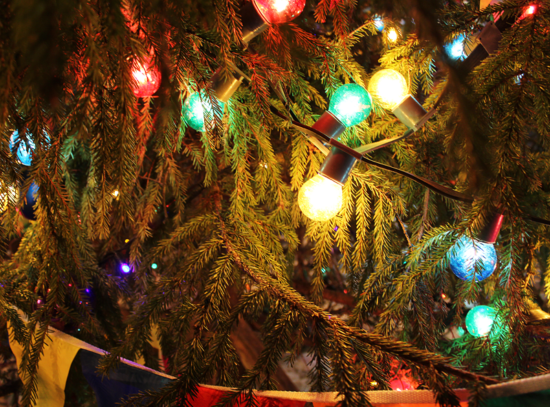 0_1c6b45_42df12ea_orig.png