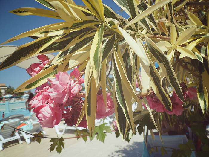 c76170769ece8ede7e744acaf347d45c.png