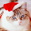 b0f89b980d265dcc176e5ba7c51aeadd.png