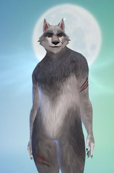 1111.png