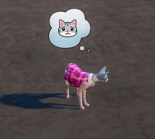 image.jpg