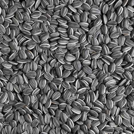dzn_sunflower-seeds-2010-by-ai-weiwei-3.jpg