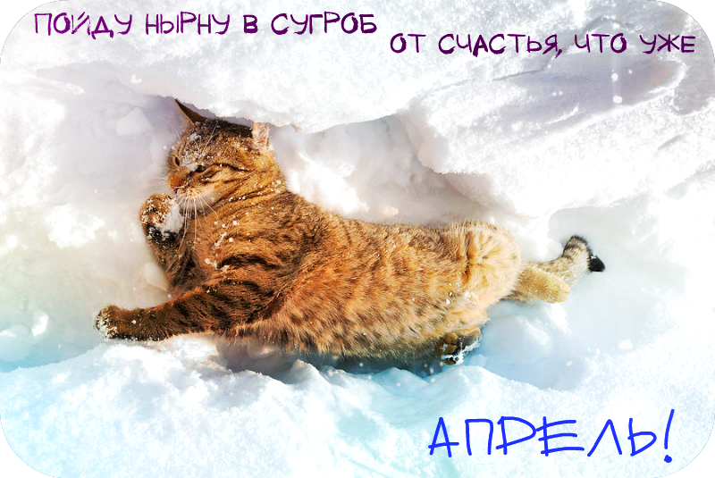 JS9T7DH.png